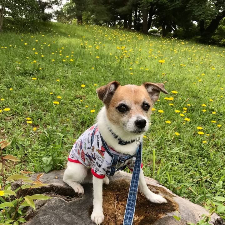 44d59ef2 5e28 493b 985d 045a9bd7a788 1590885388372