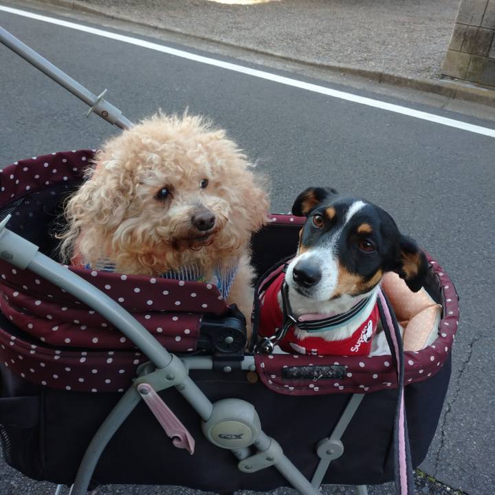 44d5c95f 0767 49ed a17a 5e3f5ac09143 1582424066298