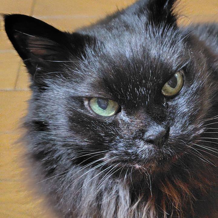 44d5d224 87d6 43cd afb6 65ac492b5bd9 1763805565849