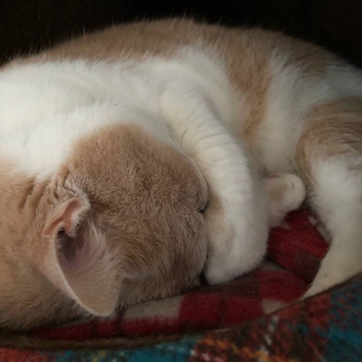 44d5d461 c1b5 4d6a 9ee1 8ac759ab00bf 1537957839576