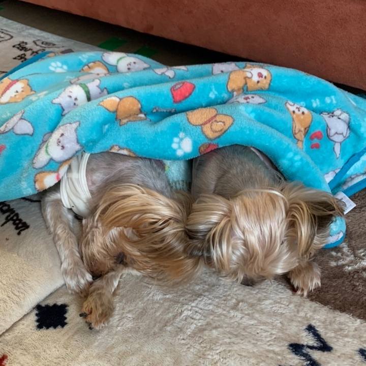 44d5ee61 0b13 484e ac33 b8f683f16211 1667900222505