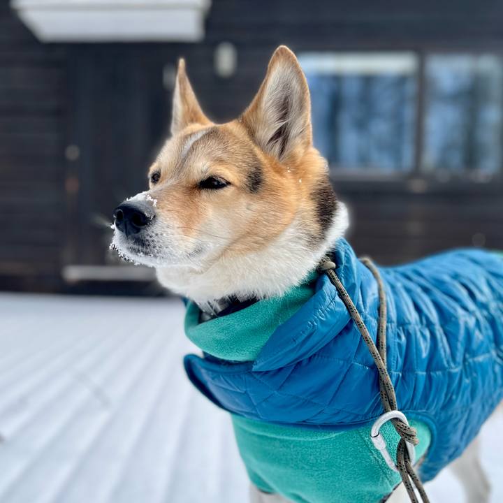 44d603e4 8846 4d69 ba76 3f86b54c7b4b 1769303305983