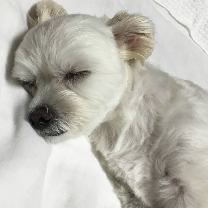 44d655e2 8e63 4067 bf83 e45e14f09e6a 1507811282895