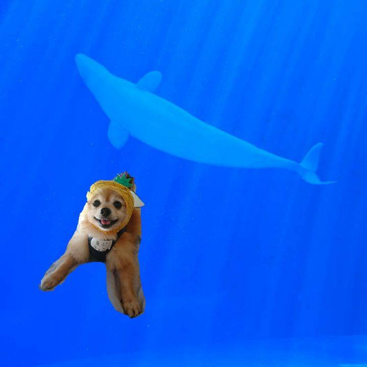 44d66cc3 cc11 4501 bb67 873e8b2cb51c 1533250616898