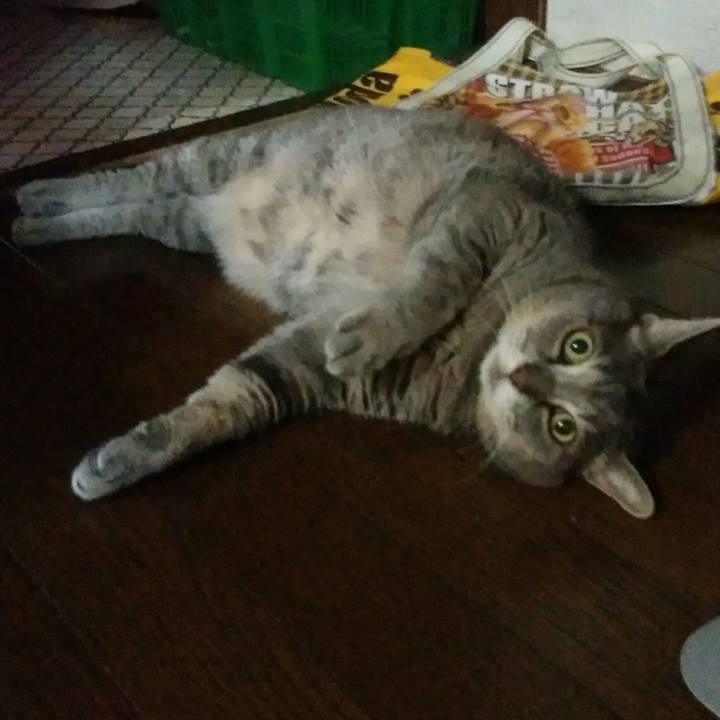 44d6a5cb 7d19 4ffa a60a deb8a9b578c2 1532208386417