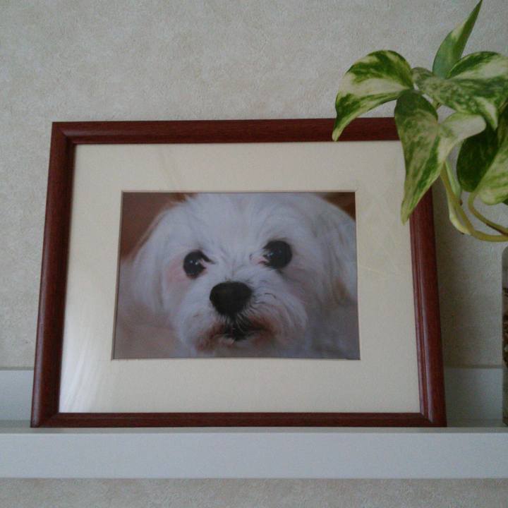 44d6b49e d1ad 4d4d a590 5e270f5c7ad3 1508647655613