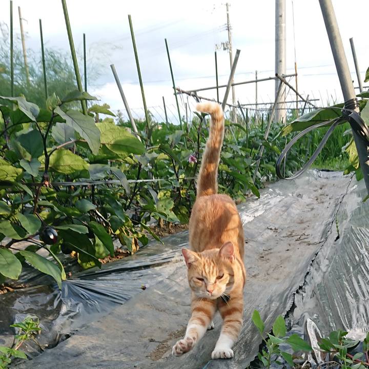 44d6e546 293f 4a6f bfdd 01f9c0eb4199 1563353417026