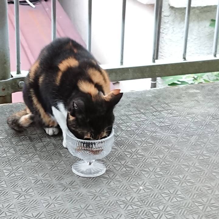 44d71060 703c 45de b452 d779cf531df0 1631829341086