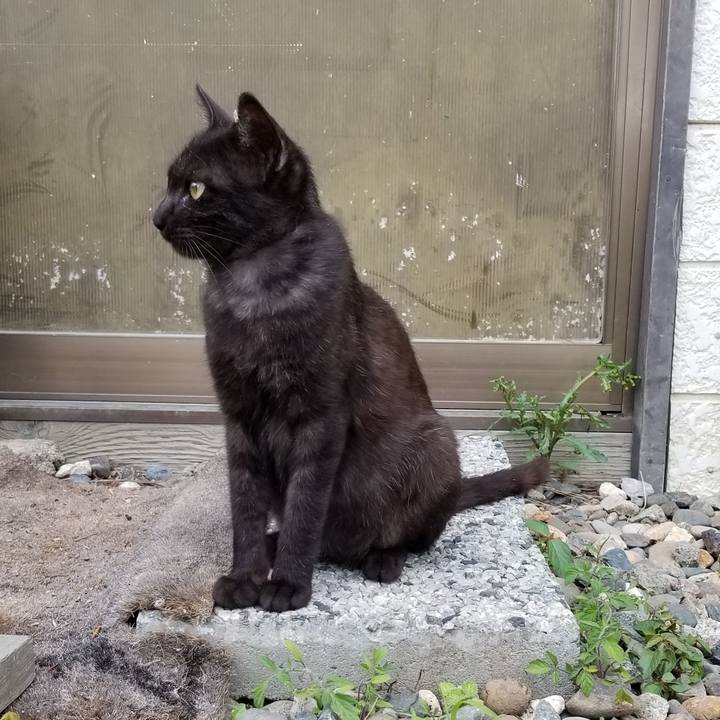 44d73aa2 e36b 467b 86c2 19865df40105 1563549667211