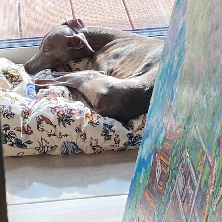 44d765dc b708 4c89 b2ab 25e029f159db 1763268743873