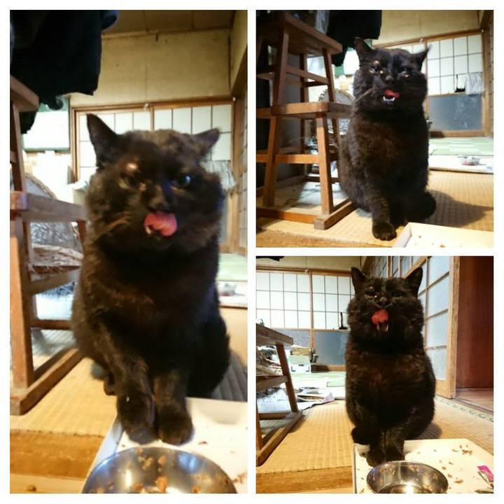 44d76fc4 11f9 4eb0 8835 5715eff4a40b 1617961150044