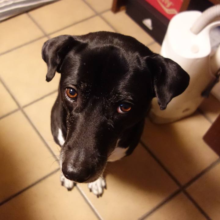 44d7ba53 f77e 49b0 91b9 0141ab2b8b0b 1708560882412