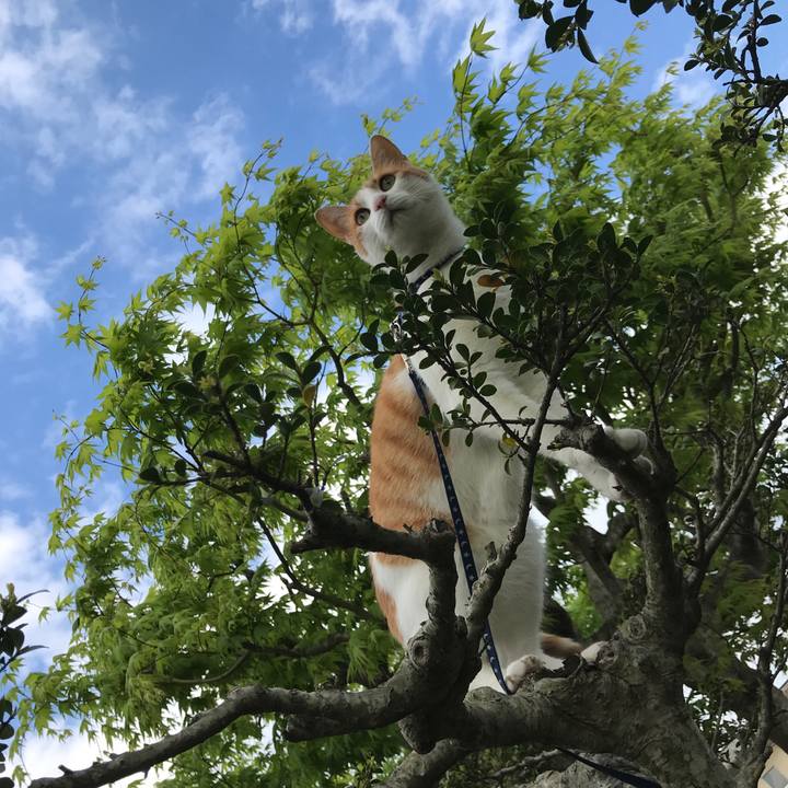 44d7d634 d65e 4a95 95c5 1e6e6c7e7cbb 1525416139996