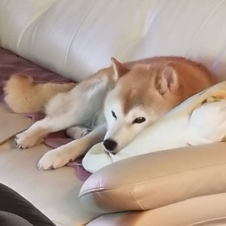 44d81ebc 9d29 4cd7 adb4 e92ccd918262 1658016700892