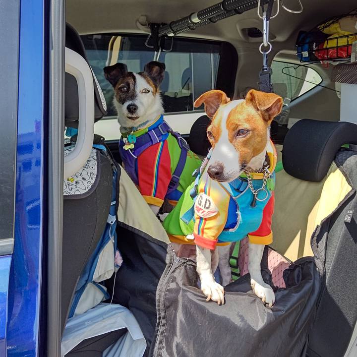 44d8203d 15c1 400c 9185 15c918a83434 1649652755304