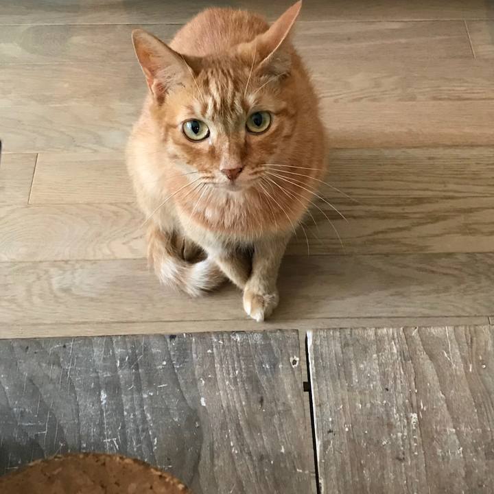 44d8f8a4 05fe 453d 869b 887c6bebd74a 1564878982985