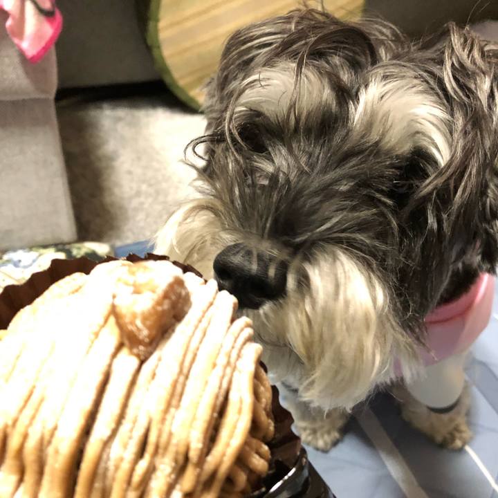 44d907b4 f77c 4d92 8799 93b8bbeda596 1666412002959