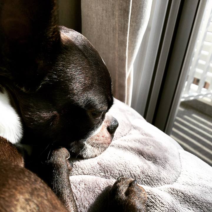 44d90c82 8c43 41fb ad70 e6ab01842df3 1525131708625