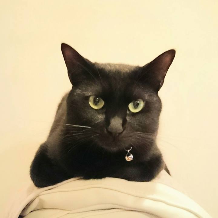 44d91959 9855 4cfd 8ac9 d1f5a793a726 1530334793528