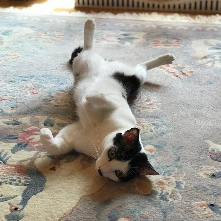 44d91b21 ac0b 47b6 9ab5 01774ab8e3d5 1560907596252