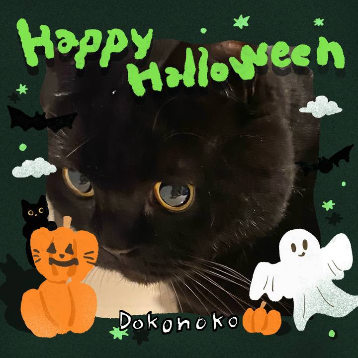 44d962bb a345 4b5b bbf3 d4dd5c887f67 1730331965891