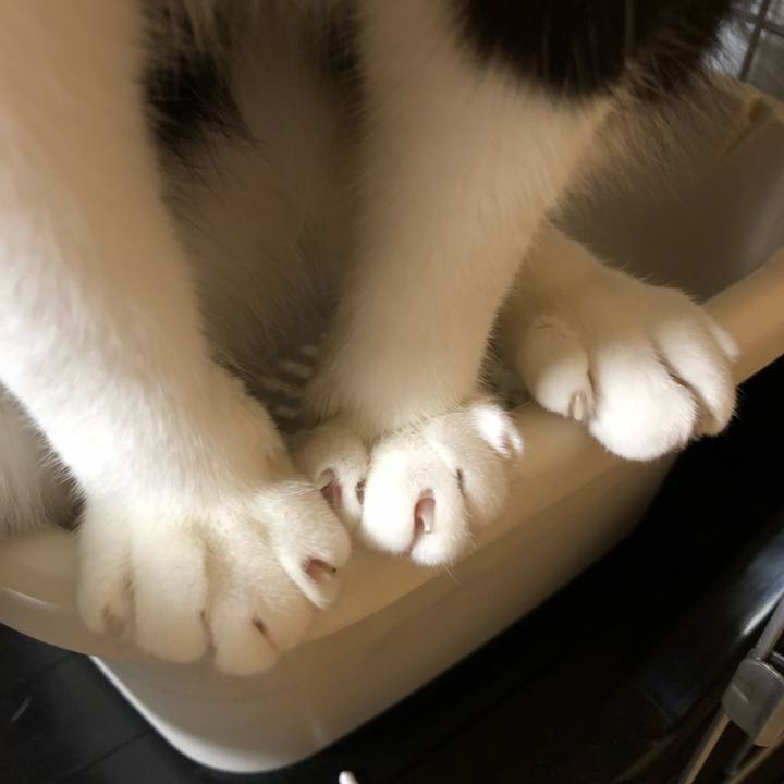 44d9a3fd 4dc3 49d9 b502 ed0d46076bf0 1553456470252