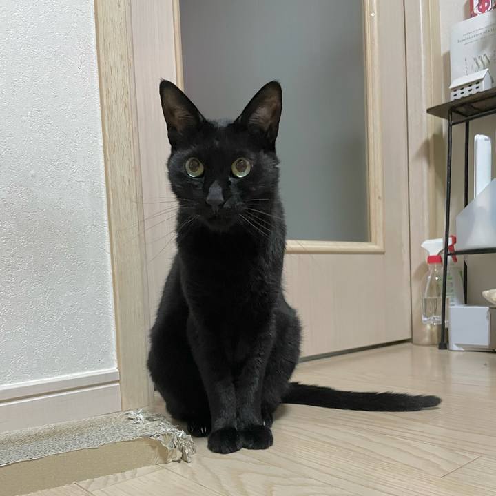 44d9b5d2 0803 4dc0 bced eeef96241a2e 1685105061213