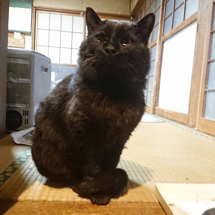 44d9bb5c 2178 4e7a ade6 b2f8b3f5f2b4 1618392535391