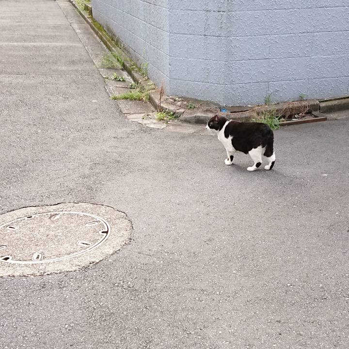 44d9dad6 92b0 44c1 8f00 903b184cab56 1631073375373