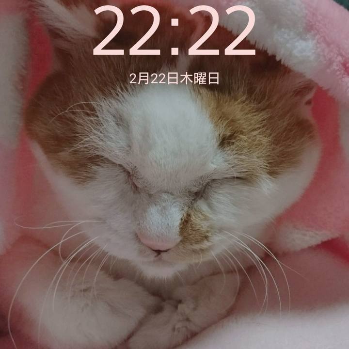 44d9e81d f716 480f a04d 02a13514fe12 1708608775221