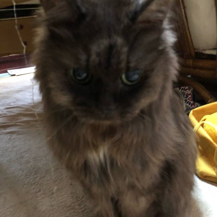 44d9fccb 3fc4 4629 9251 f93b9bd8080e 1553299158543