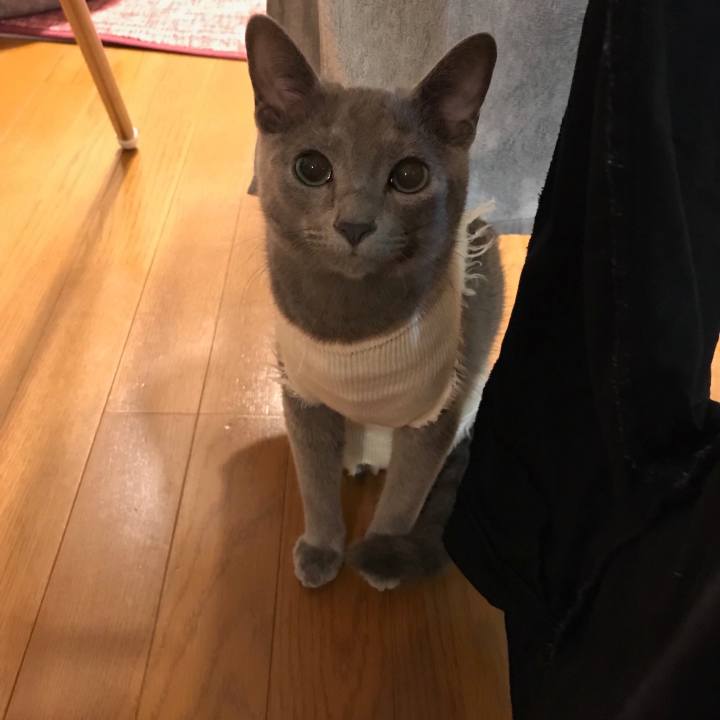 44da28b2 1a85 4d11 b417 45db37e61978 1578173592650