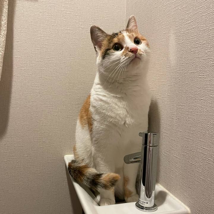 44da500e 012d 4821 8026 37e4cf87a092 1612841656747