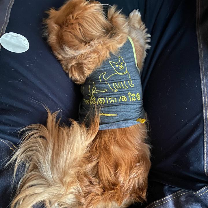 44da9849 ed89 44e2 8ebf aefd7ebf86d2 1649021579669