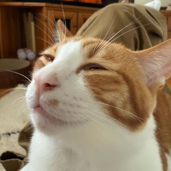 44dacb8a e69b 4052 8eff 64c613ddd5c8 1761025486681