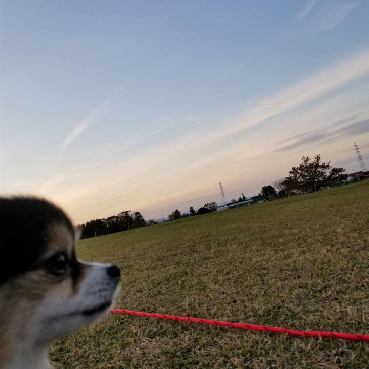 44dae0c3 b431 49fe b65a 40a781e8bd5b 1573998503353