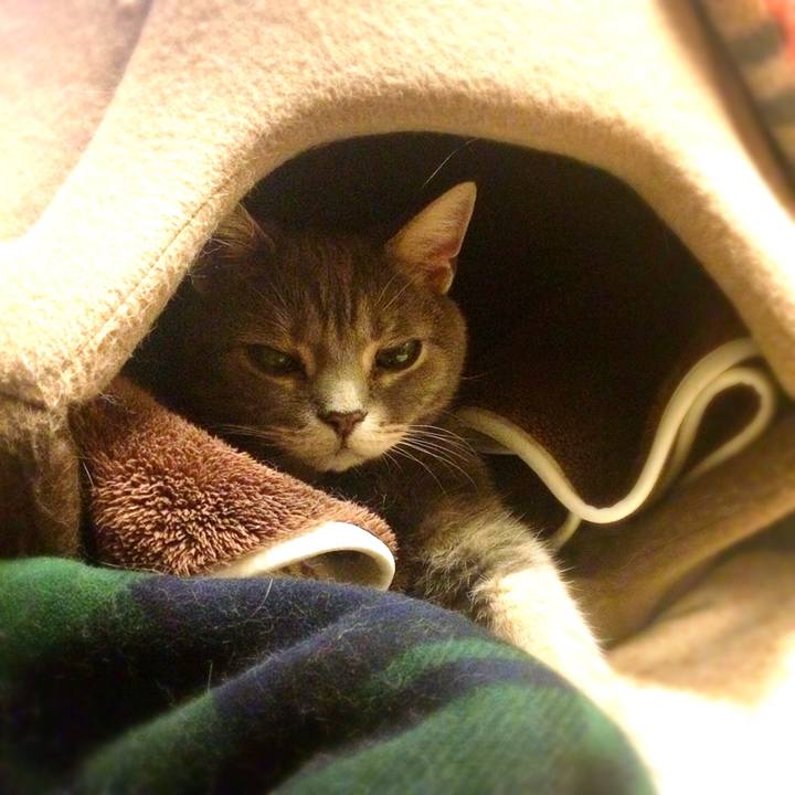 44dae2b7 ecc7 412a 9827 fa39b00e3290 1512656592708