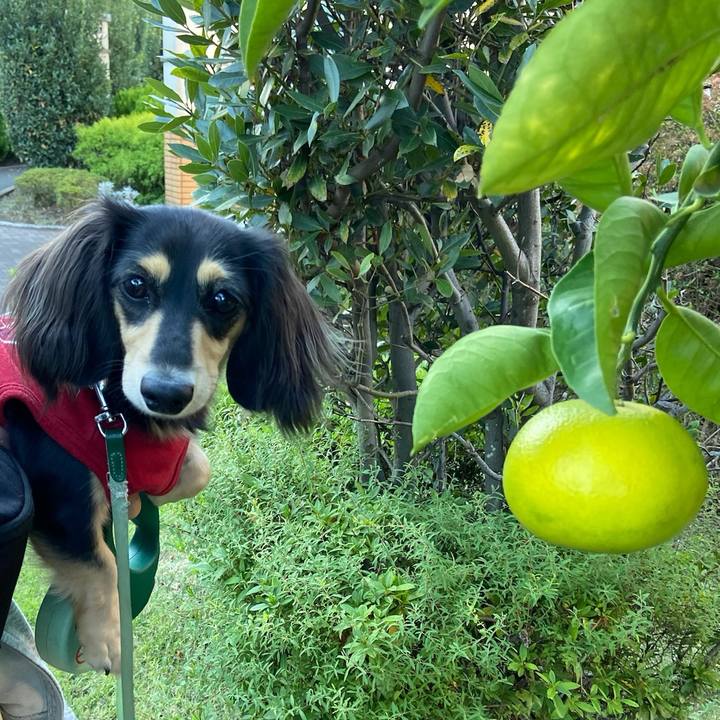 44daf02e a4f8 4d7a a64c eb67d903480e 1698620833063