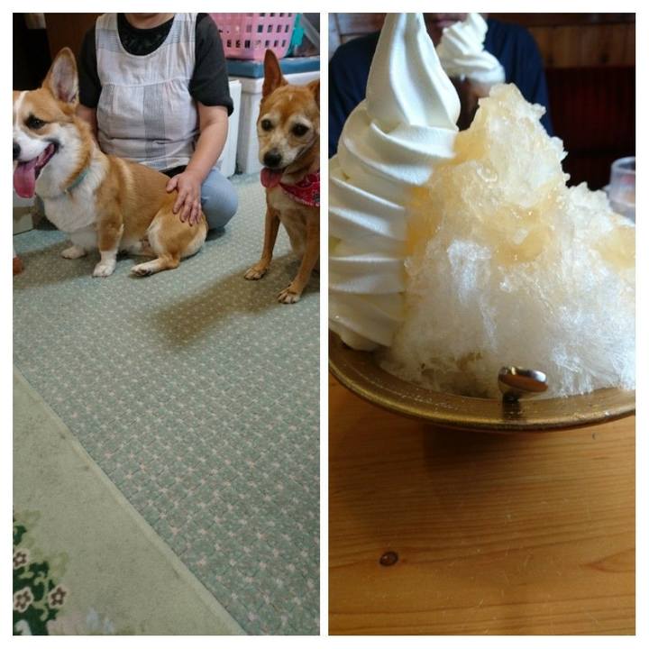 44db096b 0aac 49bf b259 326949b141f0 1592628510133