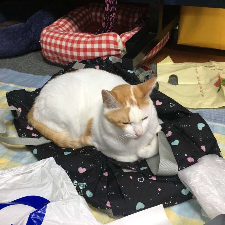 44db143f f4be 4aea 98b1 e93131c90ce9 1527951155082