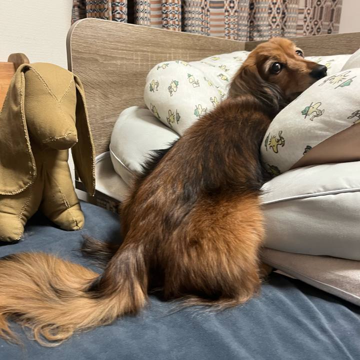 44db32d2 9912 4b7a 8eaa 06cc0b9b5f98 1773398410509