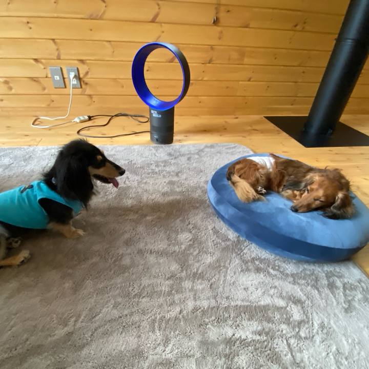 44db5482 8e4b 41a0 ac15 d6cf5a29bca8 1750302185746