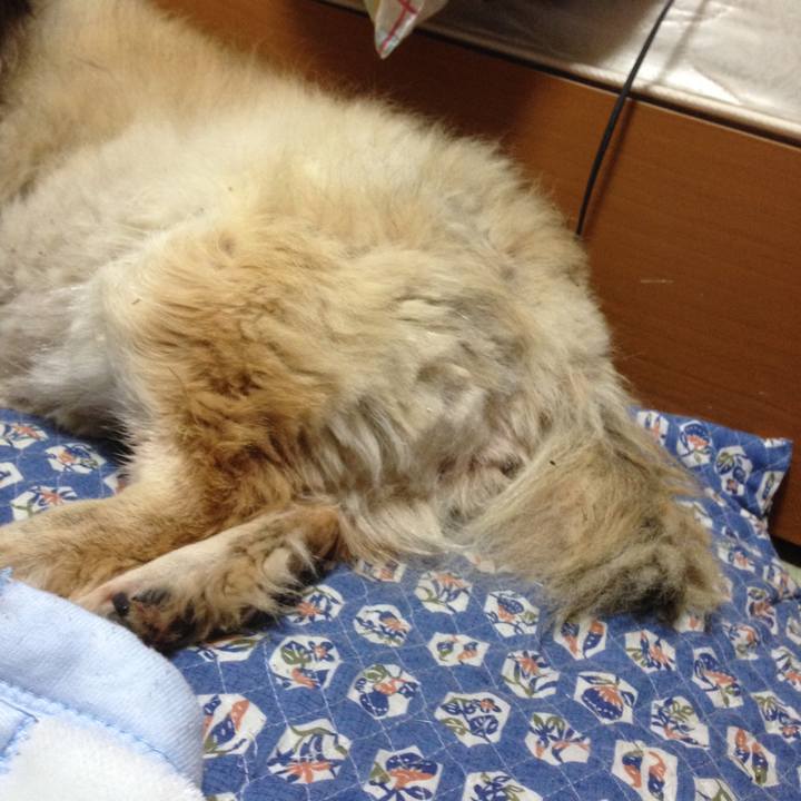 44db780b ff4f 4a4a b840 147344a7d543 1551186035224