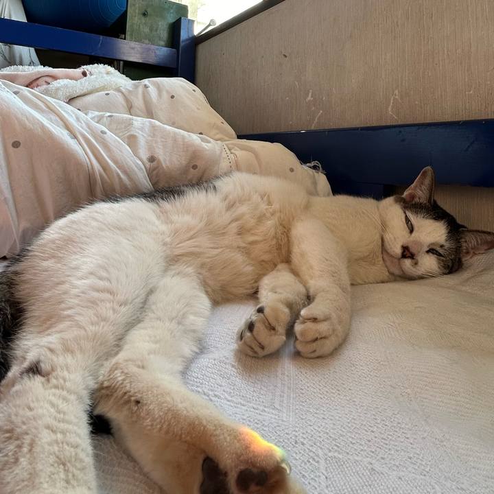 44db981b c4dd 4b3f bfed 7059a0dfacb0 1716471146823