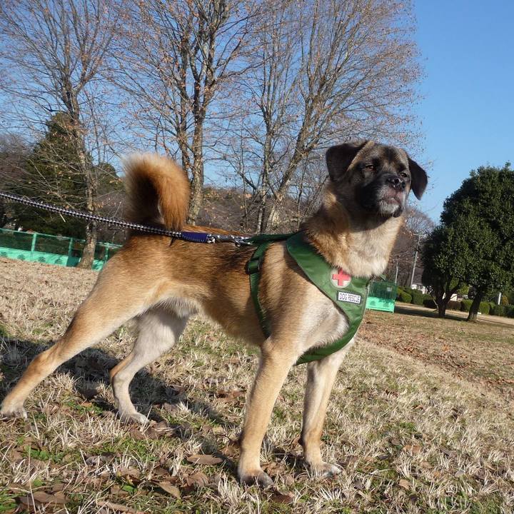 44db98f7 7bed 4a79 96a4 235a17fc0717 1766189795759