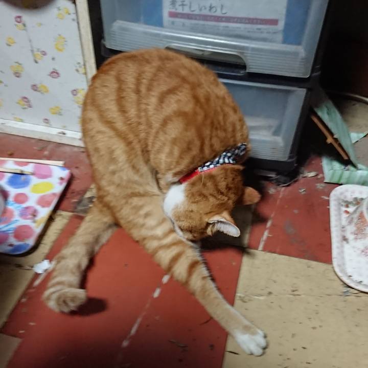 44dbc4bb c6e2 4ffb a4de 819002963f24 1569009621575