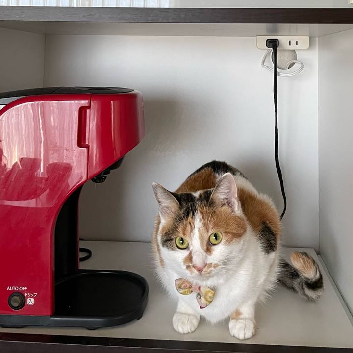 44dbdea6 8736 4e2f 8638 f85bcb73d938 1641180538240