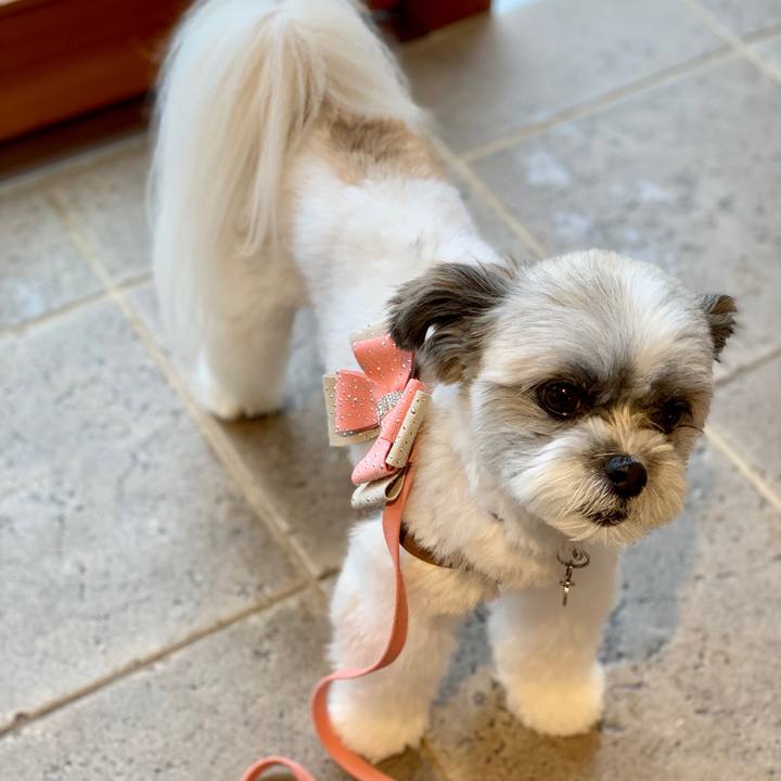 44dbeb50 3aa4 4f6b 95d9 41b9f0f4c5a0 1562232606530