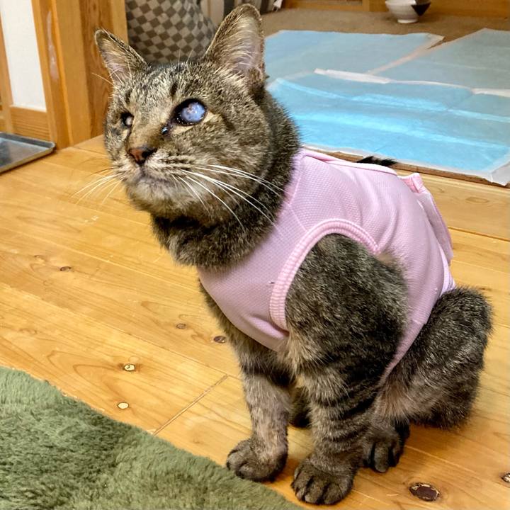 44dc73b1 bdb9 4bae 861a 6dbf6a3d8dbc 1685705996243