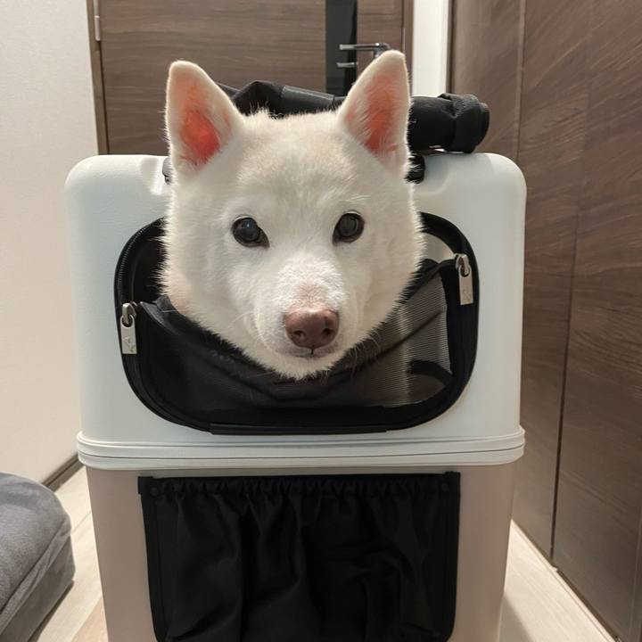 44dc797d 453f 4af3 b32c 6780068f843d 1747783868168